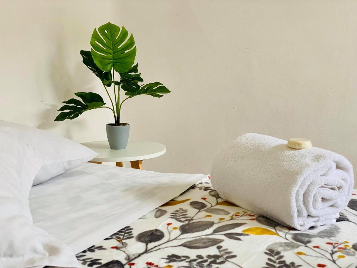 モレリア Casa Del Centro Bed & Breakfast エクステリア 写真