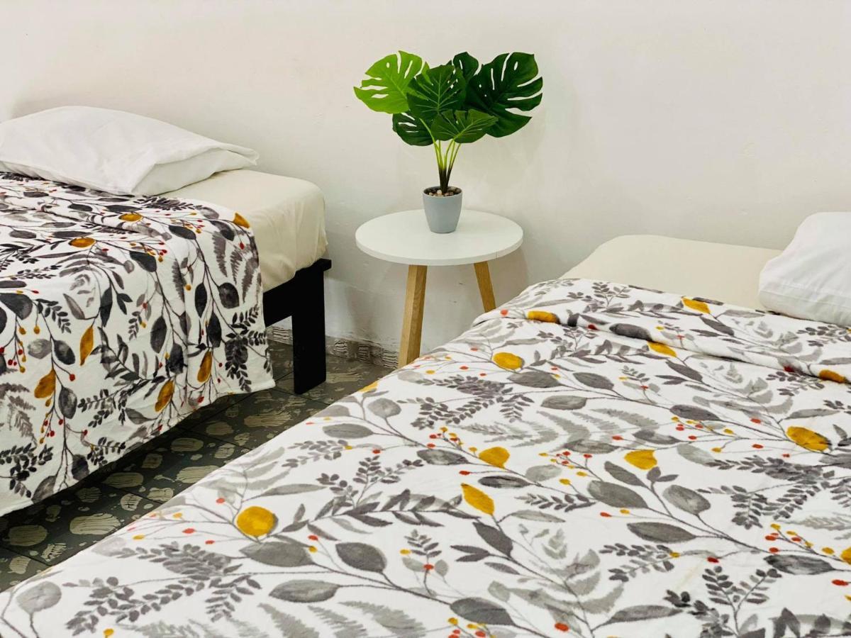 モレリア Casa Del Centro Bed & Breakfast エクステリア 写真