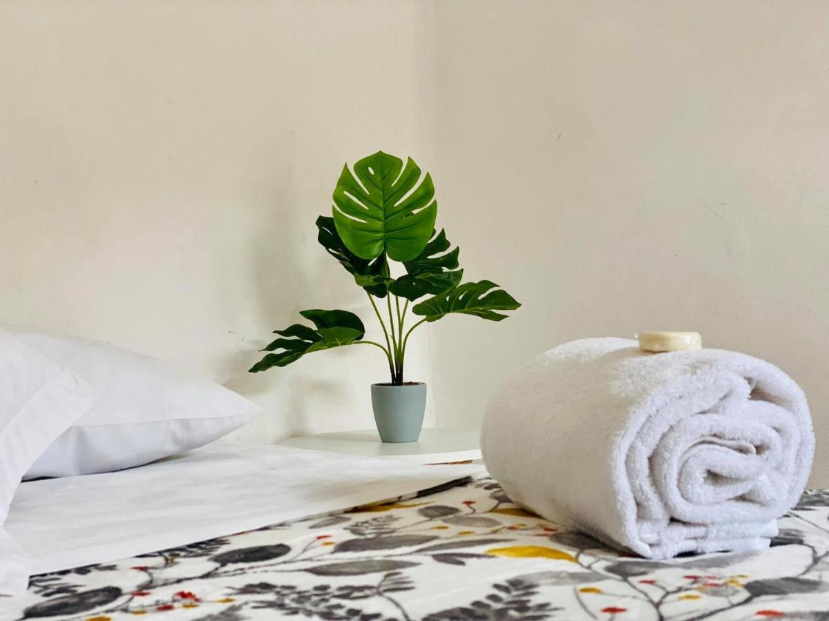 モレリア Casa Del Centro Bed & Breakfast エクステリア 写真