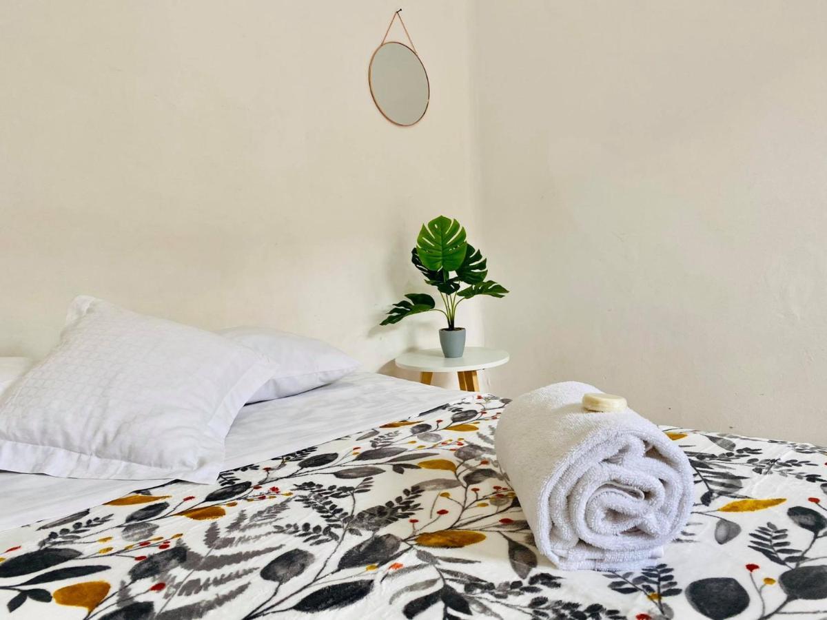モレリア Casa Del Centro Bed & Breakfast エクステリア 写真