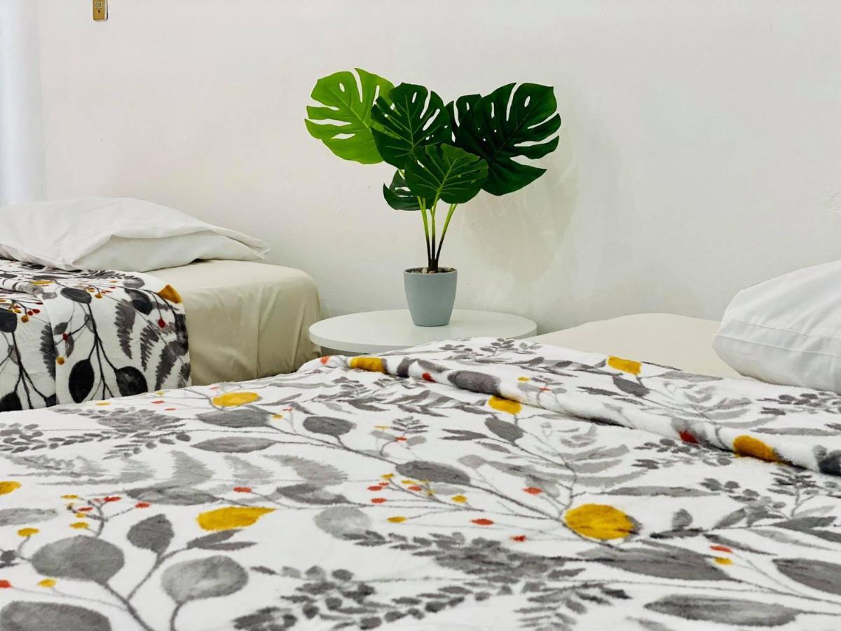 モレリア Casa Del Centro Bed & Breakfast エクステリア 写真