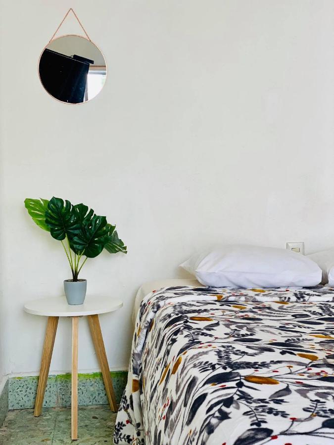 モレリア Casa Del Centro Bed & Breakfast エクステリア 写真