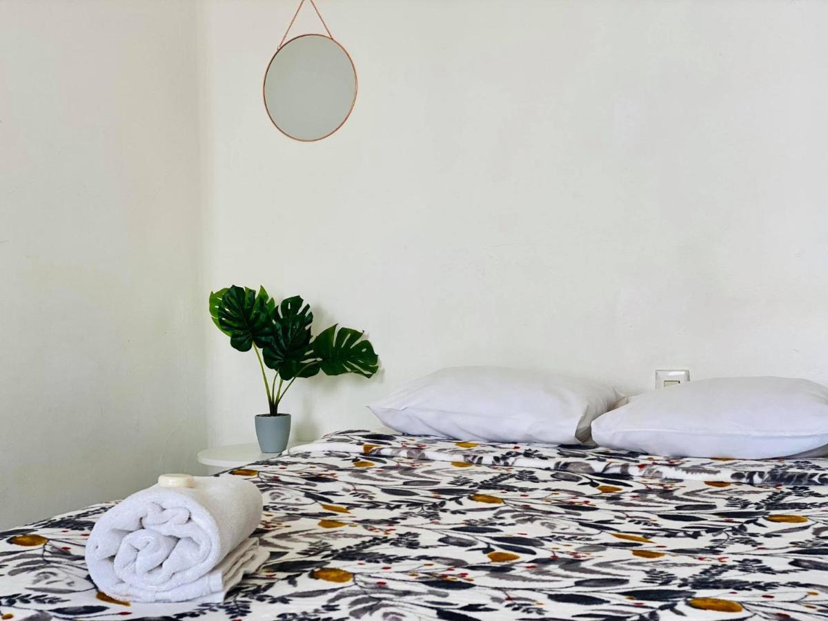 モレリア Casa Del Centro Bed & Breakfast エクステリア 写真